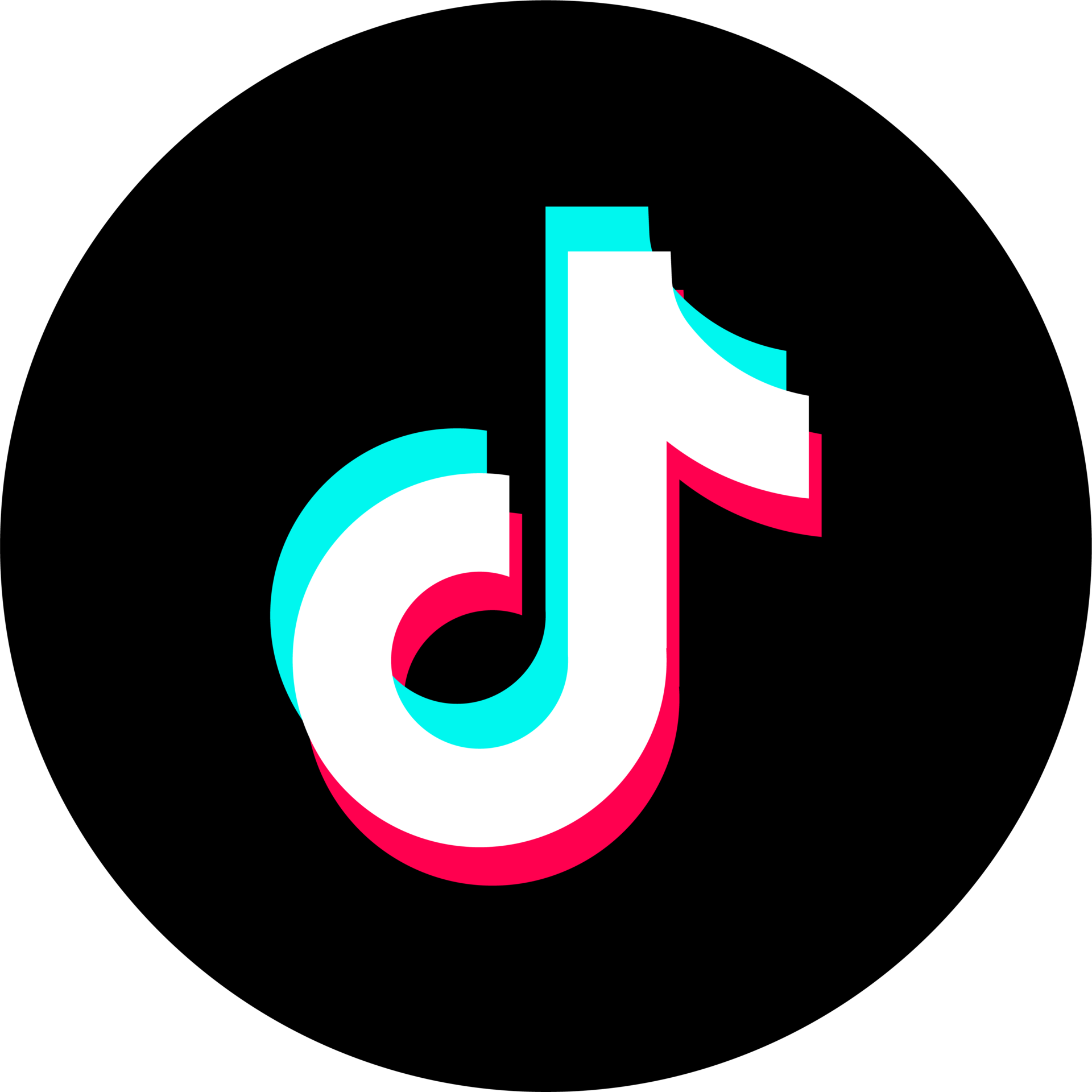 Tiktok logo